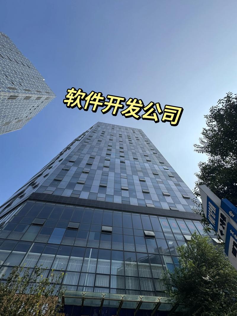 深圳软件开发：助力企业数字化转型